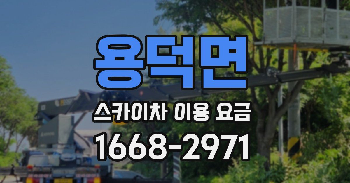 용덕면 스카이차 이용 요금