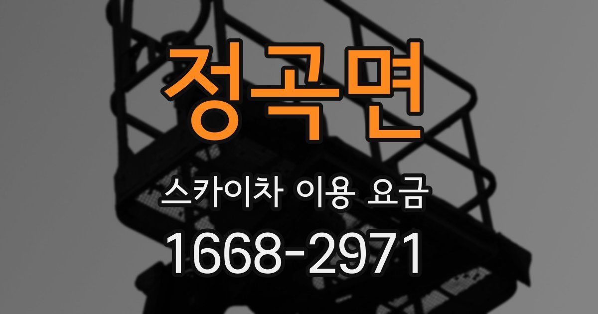 정곡면 스카이차 이용 요금