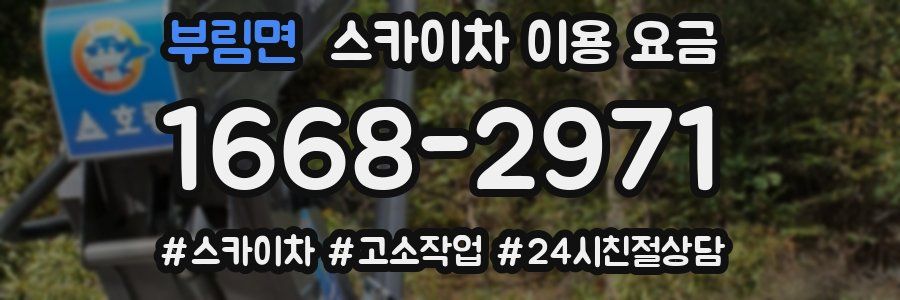 부림면 스카이차 이용 요금