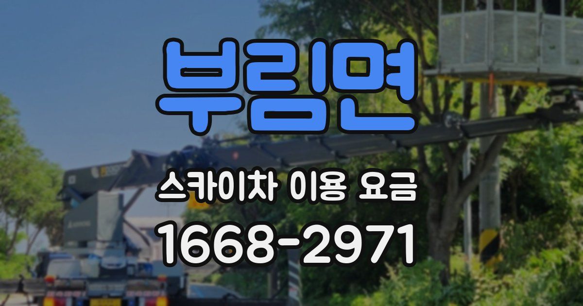 부림면 스카이차 이용 요금