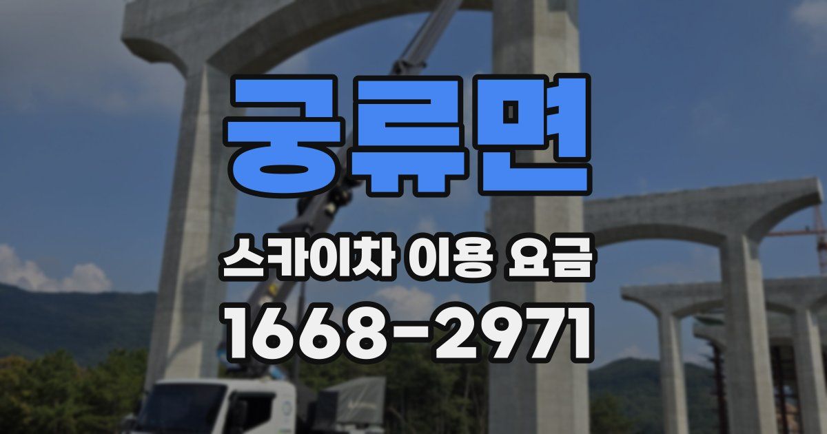 궁류면 스카이차 이용 요금