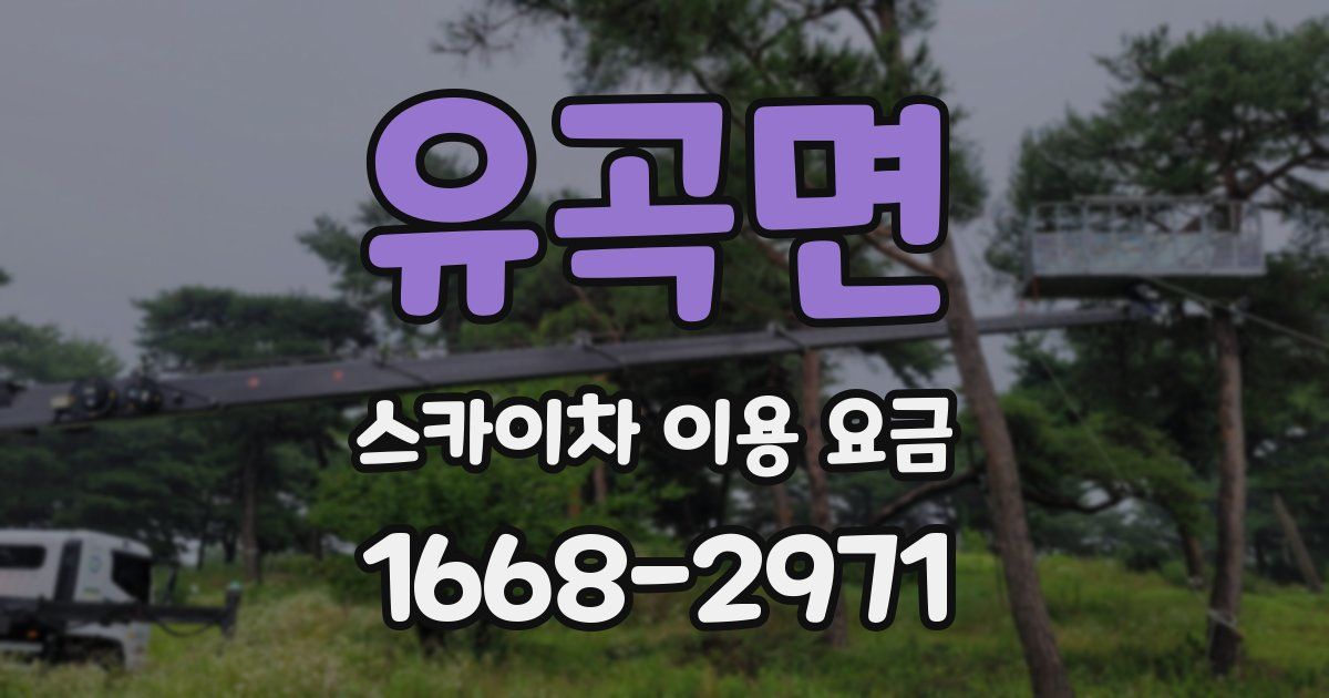 유곡면 스카이차 이용 요금