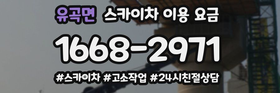 유곡면 스카이차 이용 요금