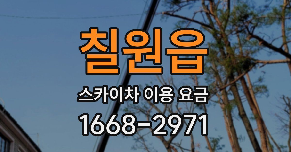 칠원읍 스카이차 이용 요금