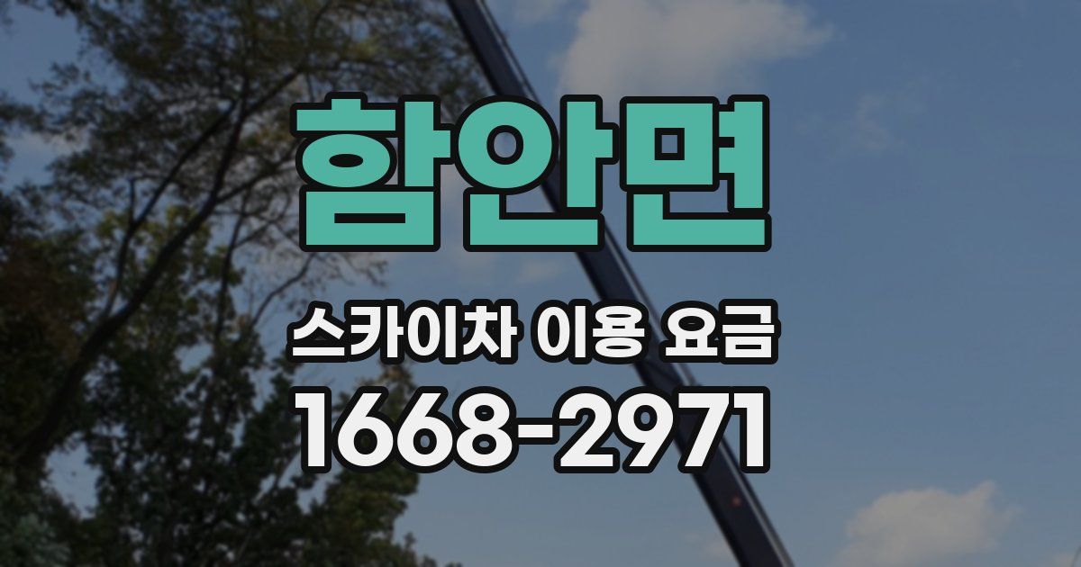 함안면 스카이차 이용 요금