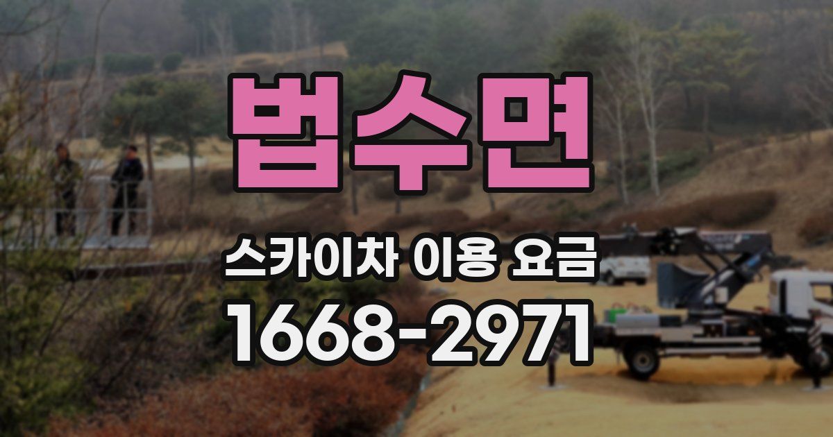 법수면 스카이차 이용 요금