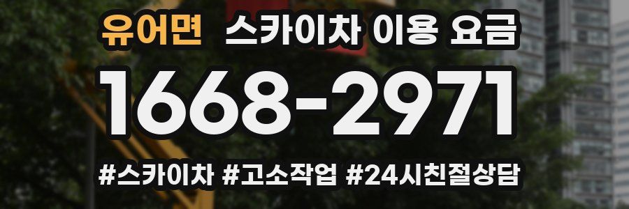 유어면 스카이차 이용 요금