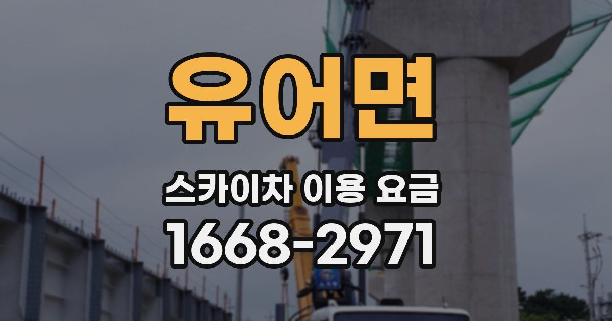 유어면 스카이차 이용 요금