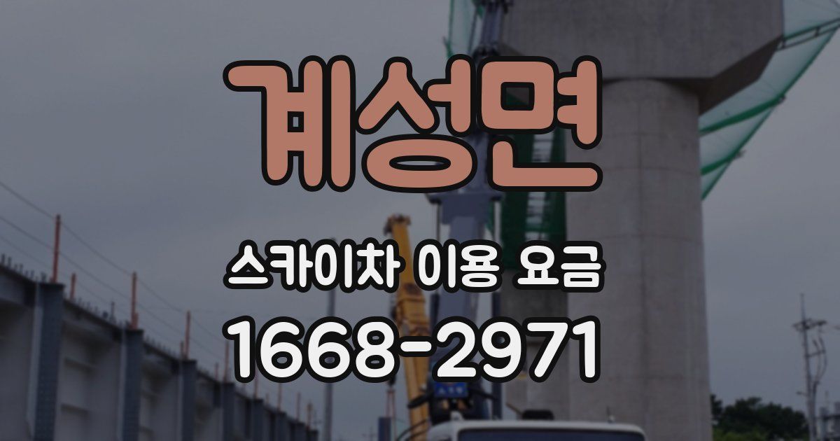 계성면 스카이차 이용 요금