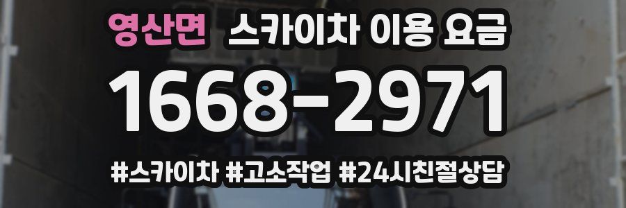 영산면 스카이차 이용 요금