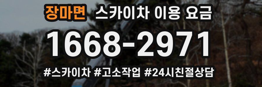 장마면 스카이차 이용 요금