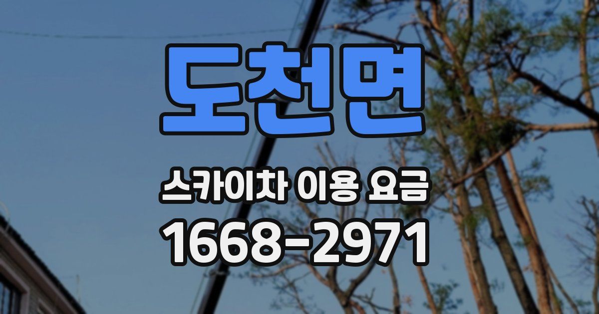 도천면 스카이차 이용 요금