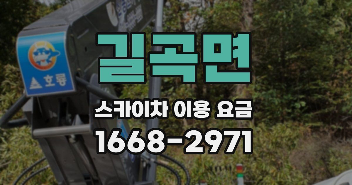길곡면 스카이차 이용 요금