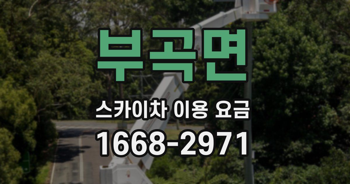 부곡면 스카이차 이용 요금