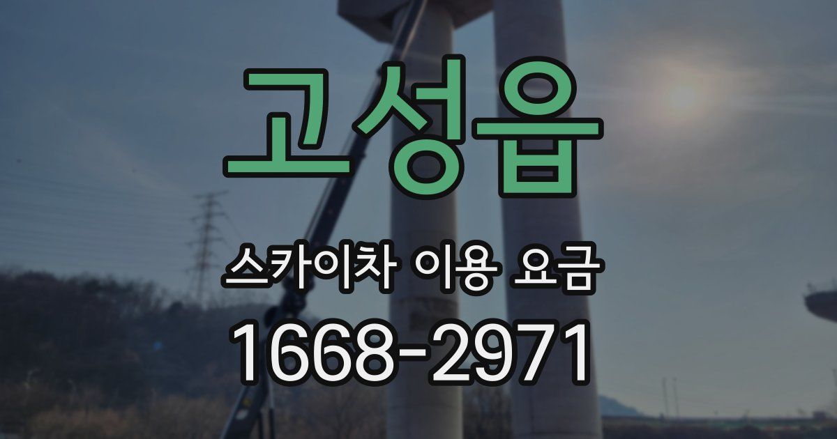 고성읍 스카이차 이용 요금