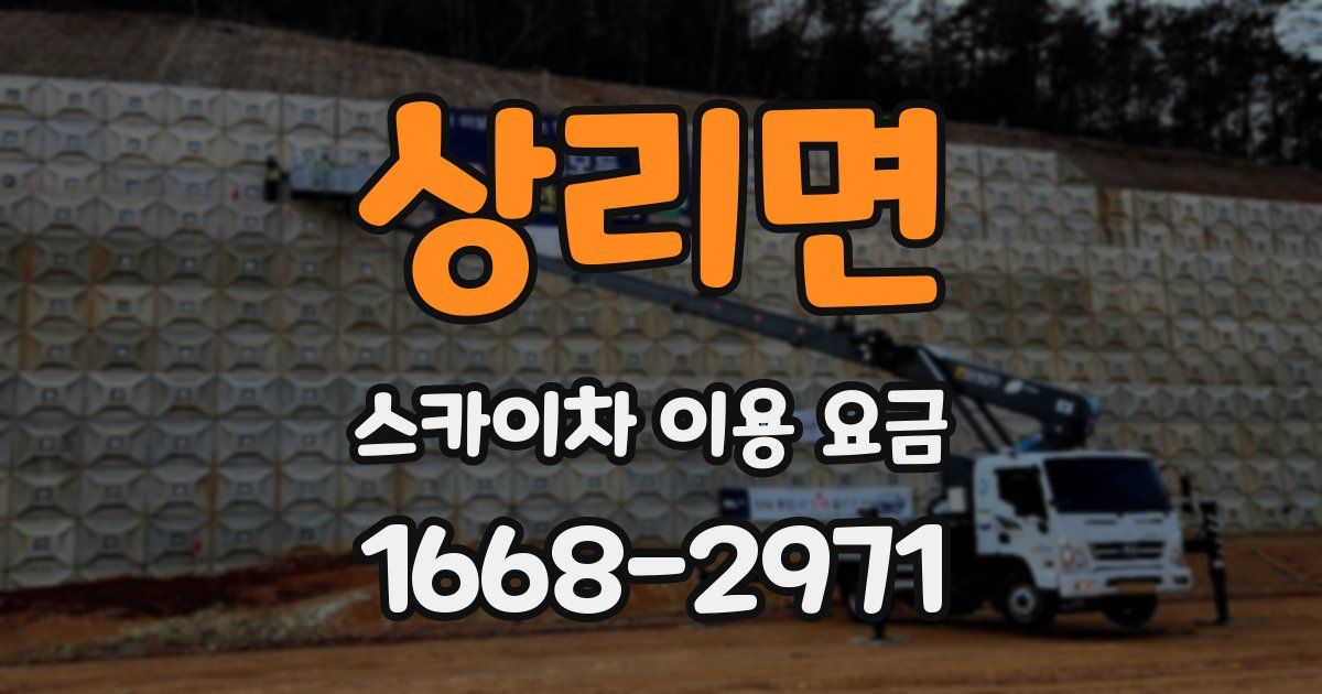 상리면 스카이차 이용 요금