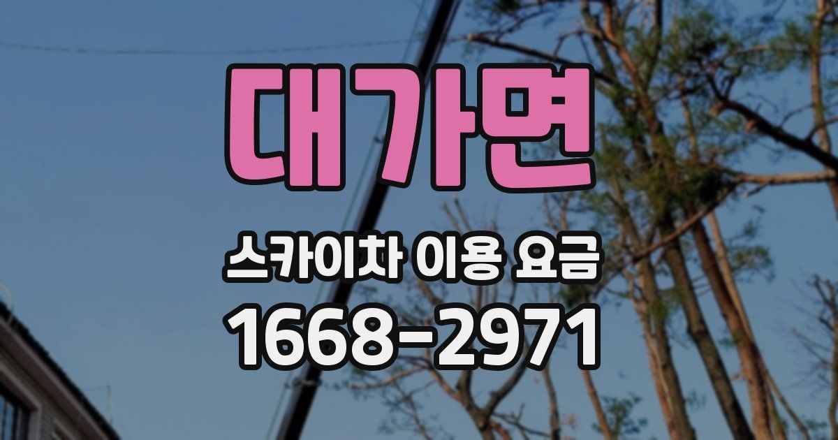대가면 스카이차 이용 요금