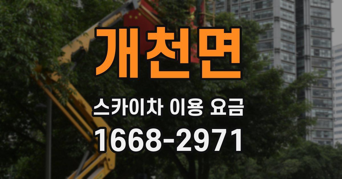 개천면 스카이차 이용 요금