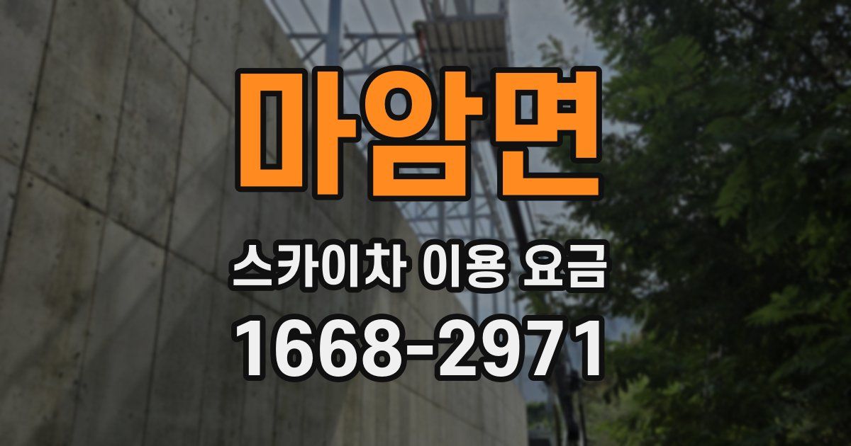 마암면 스카이차 이용 요금