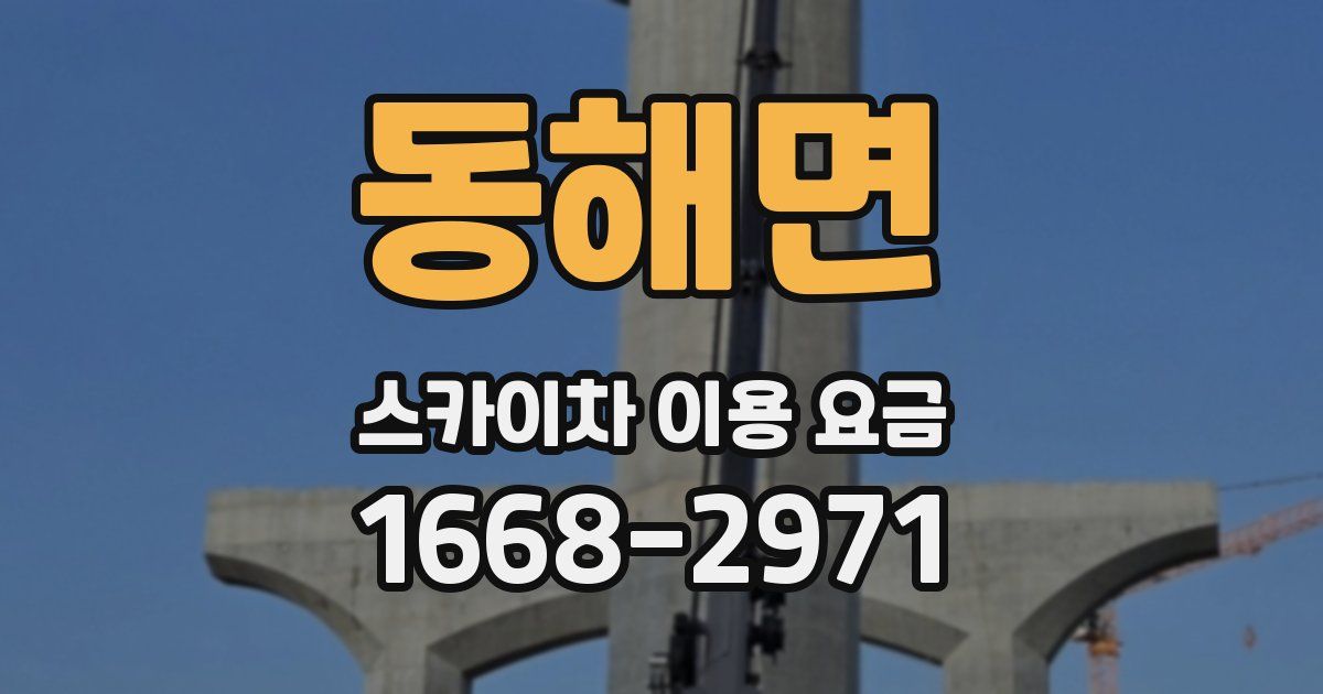 동해면 스카이차 이용 요금