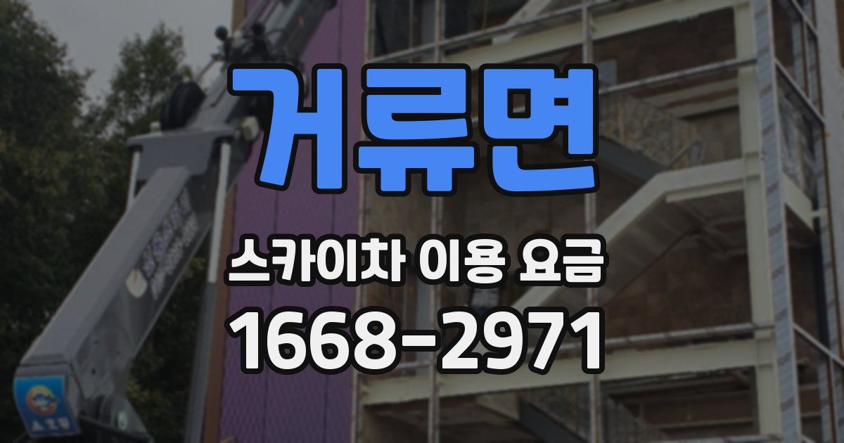 거류면 스카이차 이용 요금