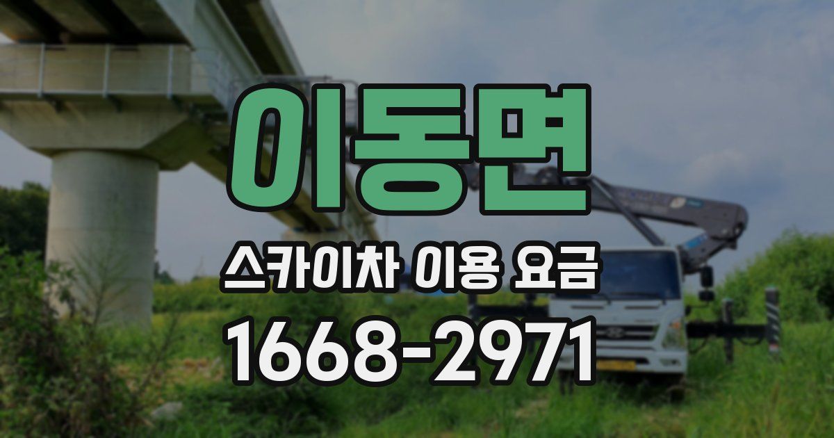 이동면 스카이차 이용 요금