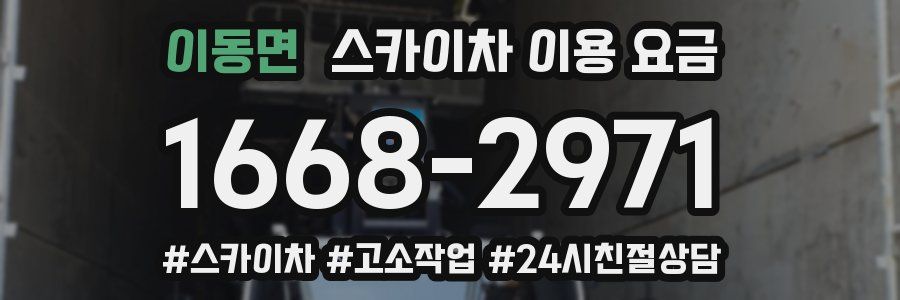 이동면 스카이차 이용 요금