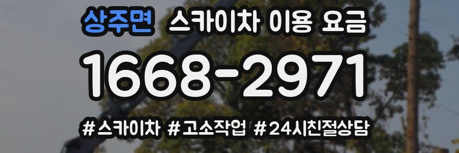 상주면 스카이차 이용 요금