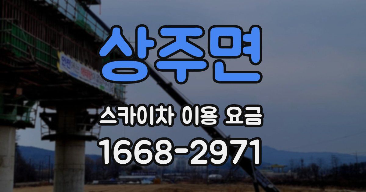 상주면 스카이차 이용 요금