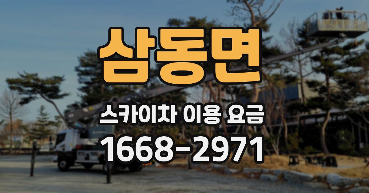 삼동면 스카이차 이용 요금