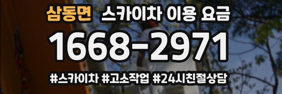 삼동면 스카이차 이용 요금