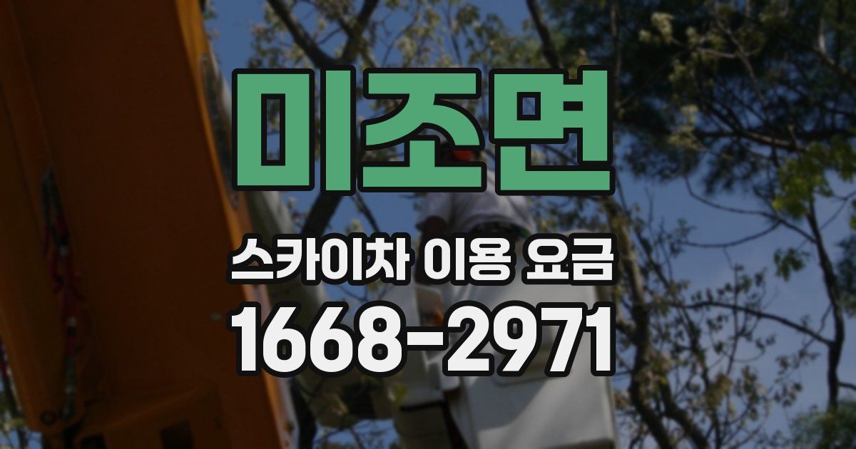 미조면 스카이차 이용 요금