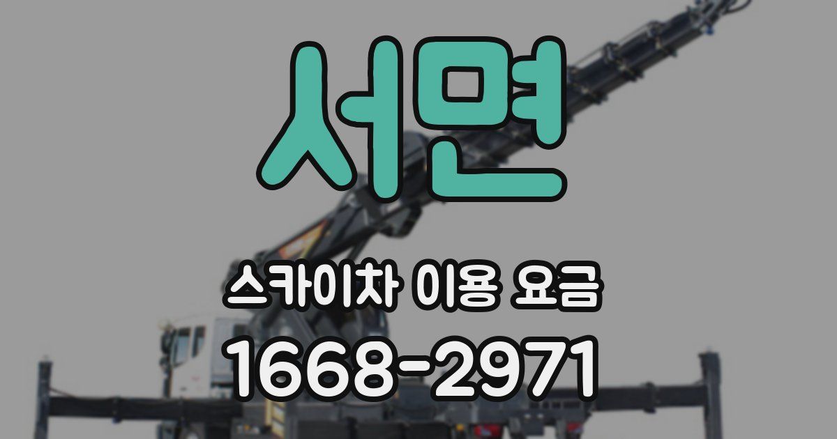 서면 스카이차 이용 요금
