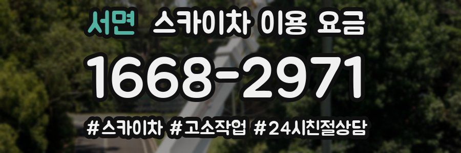 서면 스카이차 이용 요금