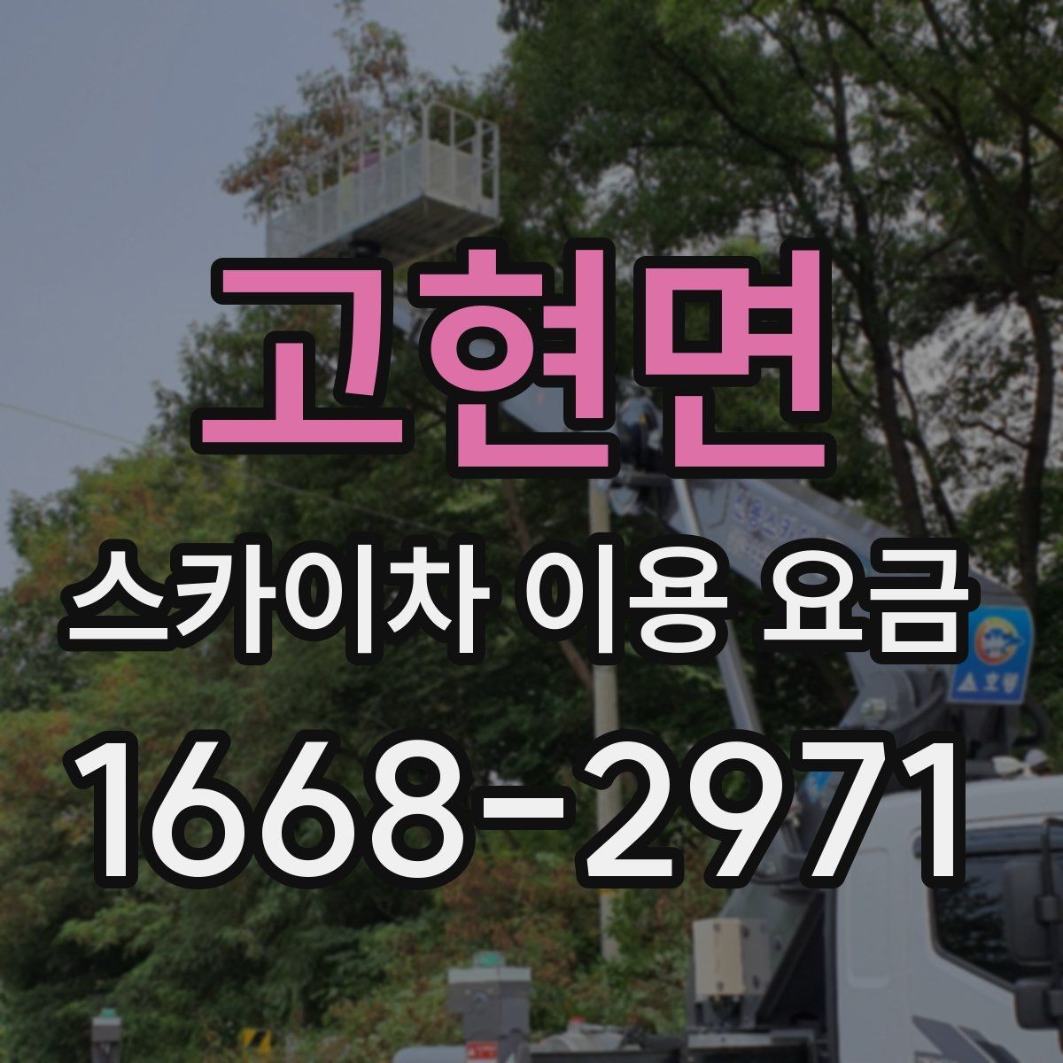 고현면 스카이차 이용 요금 외에 확인해야 할 추가 항목