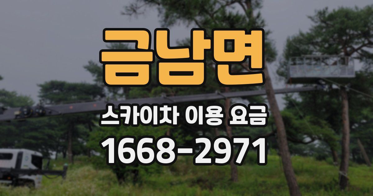 금남면 스카이차 이용 요금