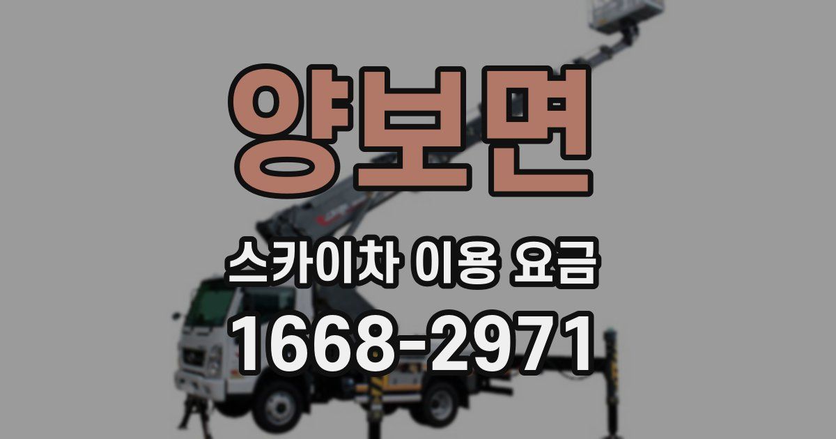 양보면 스카이차 이용 요금