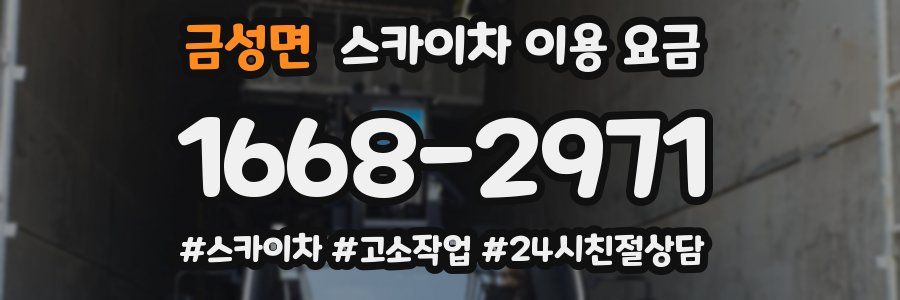 금성면 스카이차 이용 요금