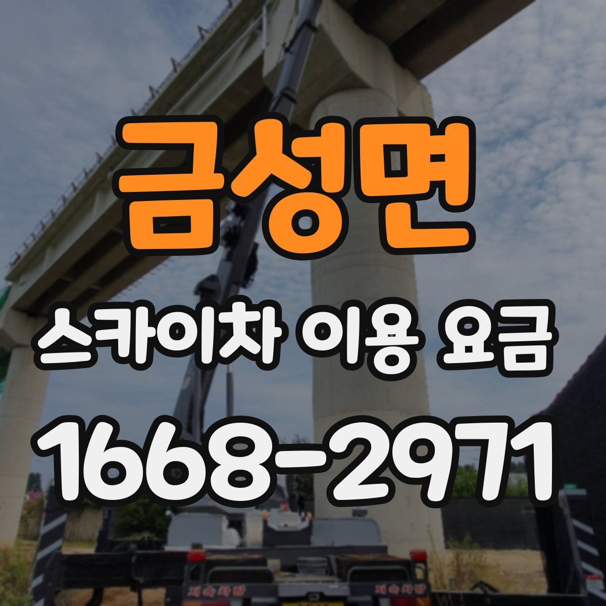 금성면 스카이차 이용 요금
