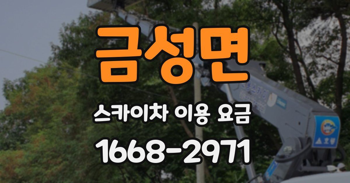 금성면 스카이차 이용 요금