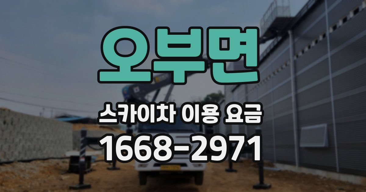 오부면 스카이차 이용 요금
