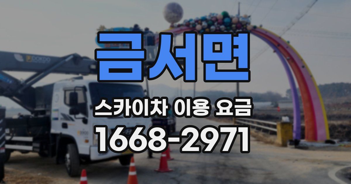 금서면 스카이차 이용 요금