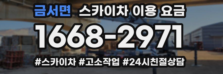 금서면 스카이차 이용 요금