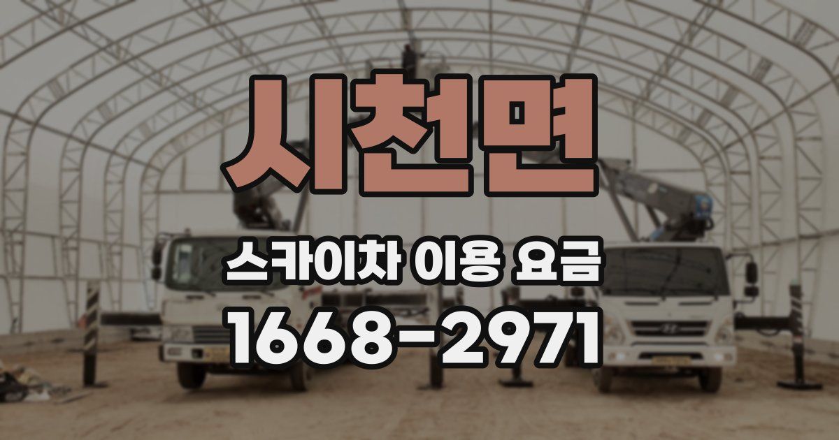 시천면 스카이차 이용 요금