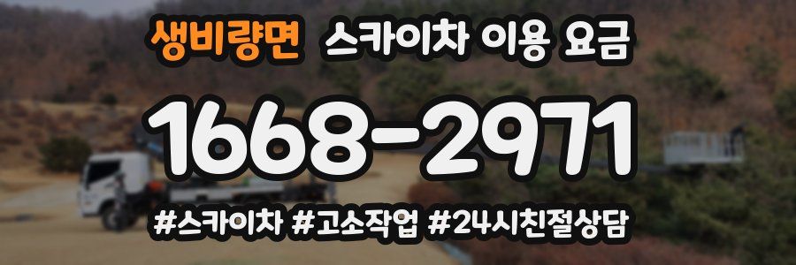 생비량면 스카이차 이용 요금
