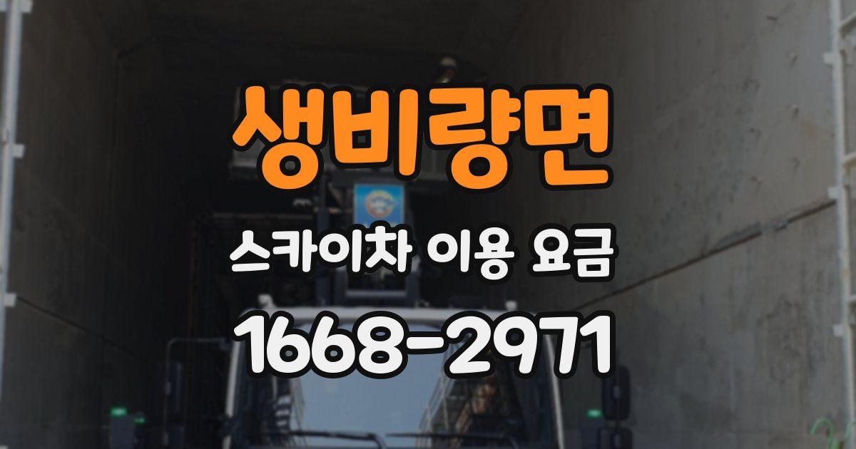 생비량면 스카이차 이용 요금