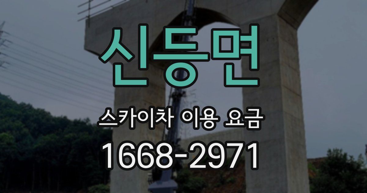 신등면 스카이차 이용 요금