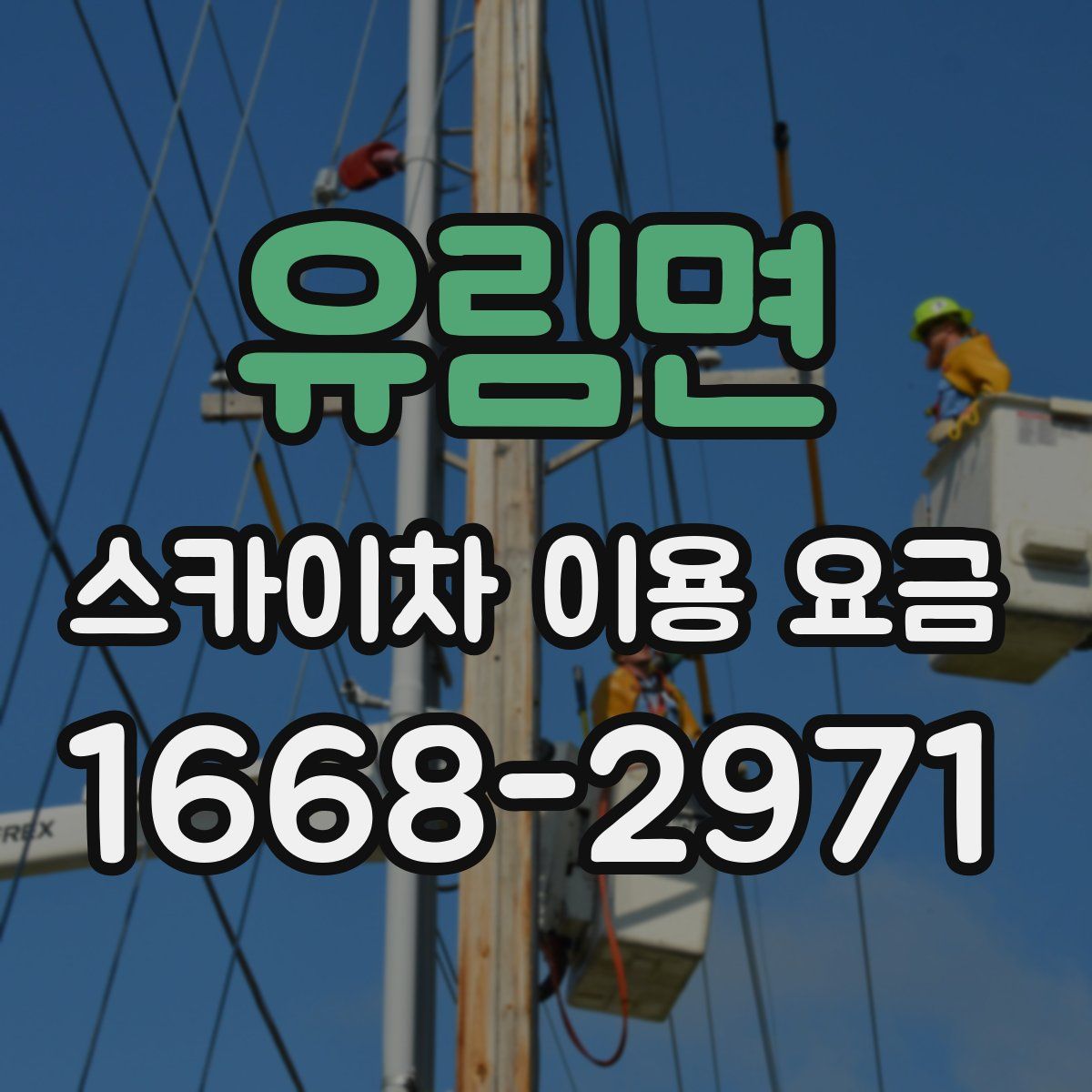 유림면 스카이차 이용 요금