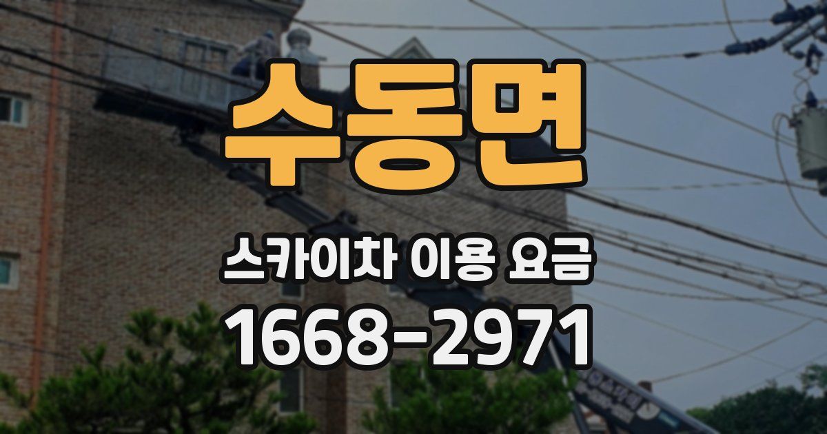 수동면 스카이차 이용 요금