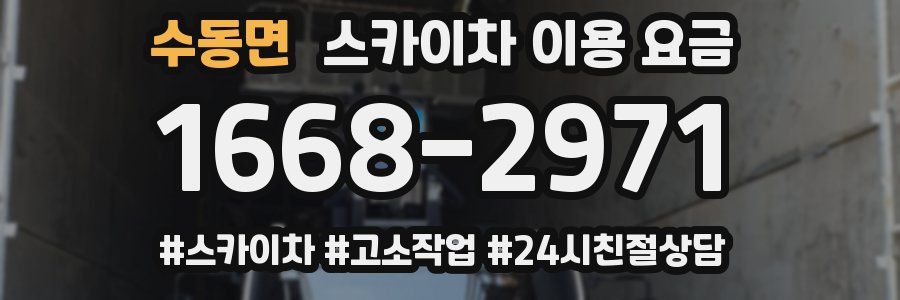 수동면 스카이차 이용 요금
